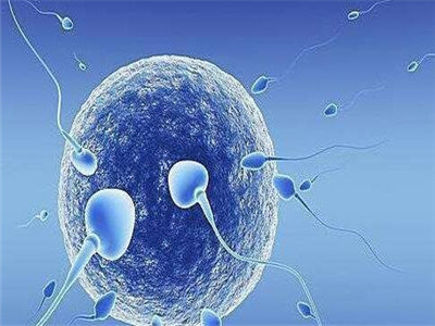 关于包生男孩中介机构